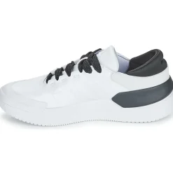 Adidas Sportswear - COURT FUNK