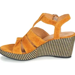 Adige - FLORY V4 UNDER SAFRAN