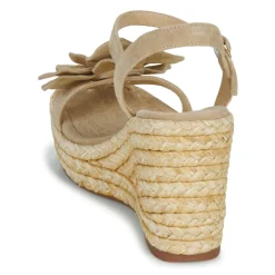 ALMA EN PENA - V251285