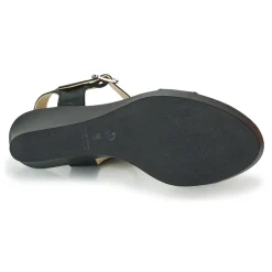 Betty London - CHARLOTA