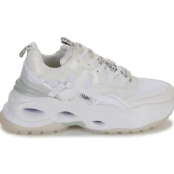 Buffalo - TRIPLET HOLLOW