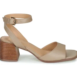 Bullboxer - 202000F2S