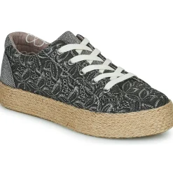 Café Noir - C1DG9050