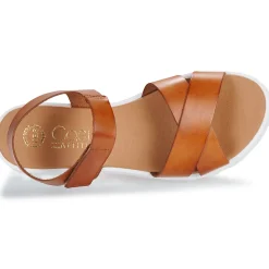 Casual Attitude - BELDOU