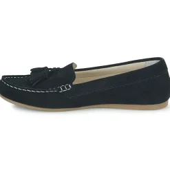 Casual Attitude - GATOE