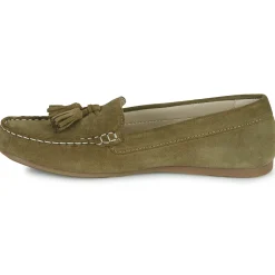 Casual Attitude - GATOE