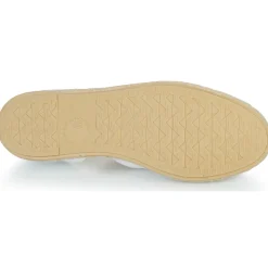 Casual Attitude - JALAYIVE