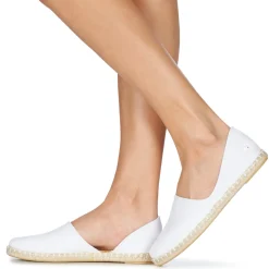 Casual Attitude - JALAYIVE