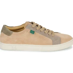 Dream in Green - ACANTHE