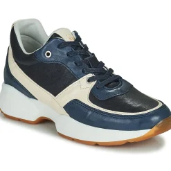 Dream in Green - AGAPANTHE