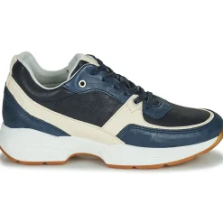 Dream in Green - AGAPANTHE