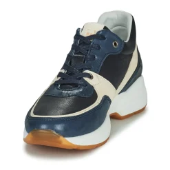 Dream in Green - AGAPANTHE