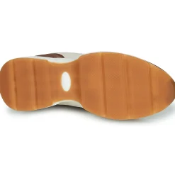 Dream in Green - AGAPANTHE