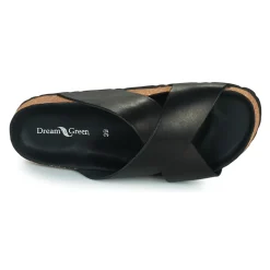 Dream in Green - AGAVE