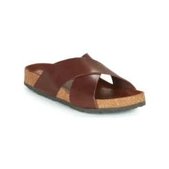 Dream in Green - AGAVE