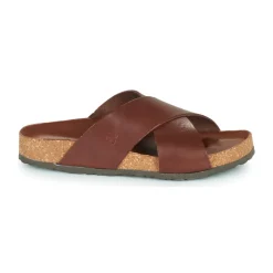 Dream in Green - AGAVE