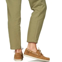 Dream in Green - ANTERA