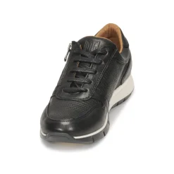 Dream in Green - ARTEMISIA