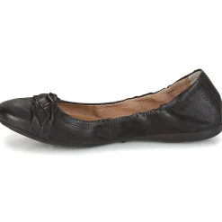 Dream in Green - CICALO