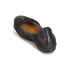 Dream in Green - CICALO