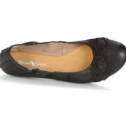 Dream in Green - CICALO