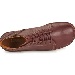 Dream in Green - DELIANE