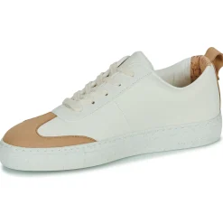 Dream in Green - JOBIA