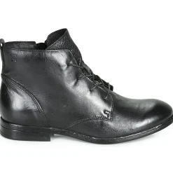 Dream in Green - LAMPEDI