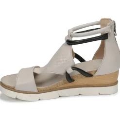 Dream in Green - LIRABIEN