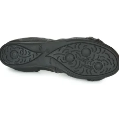 Dream in Green - NERLINGO