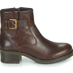 Dream in Green - NETISE