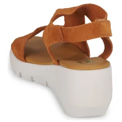 Dream in Green - OLENE