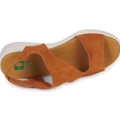 Dream in Green - OLENE