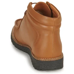 Dream in Green - OPHINA