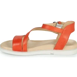 Dream in Green - OURY