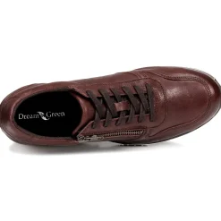 Dream in Green - PORTOVECCHIO