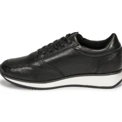 Dream in Green - PORTOVECCHIO