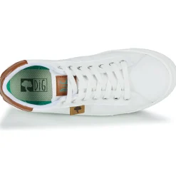 Dream in Green - SORPHIE