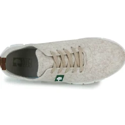 Dream in Green - SOTISE