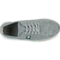 Dream in Green - SOTISE