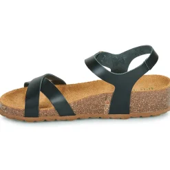 Dream in Green - TSILI