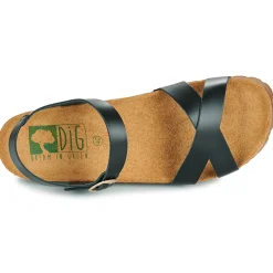 Dream in Green - TSILI