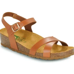 Dream in Green - TSILI