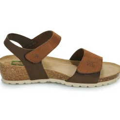 Dream in Green - ZAMINI