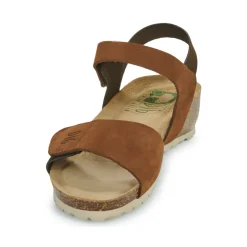 Dream in Green - ZAMINI