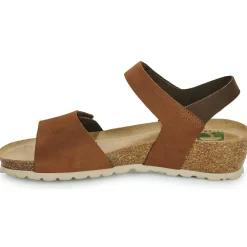 Dream in Green - ZAMINI