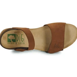 Dream in Green - ZAMINI