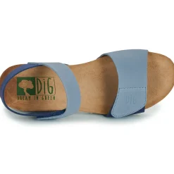 Dream in Green - ZAMINI