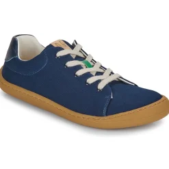 Dream in Green - ZAPHIRI