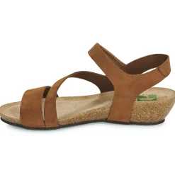 Dream in Green - ZIMINI